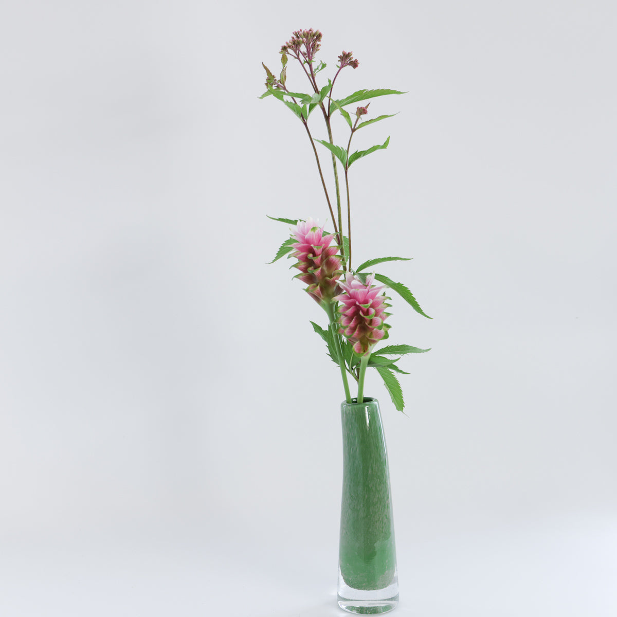 HenryDean  ヘンリーディーン　Grass S エスペランスグリーン