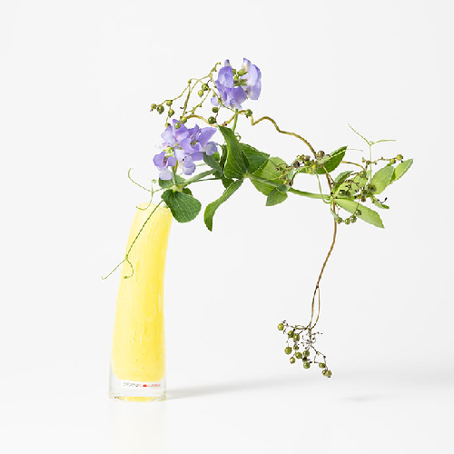 HenryDean ヘンリーディーン Grass S シトラス