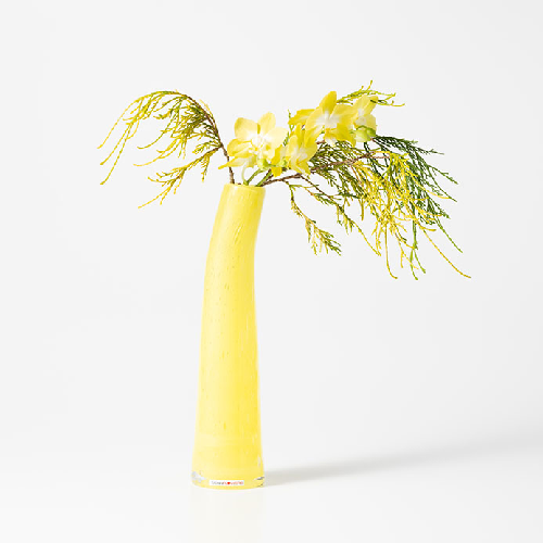 HenryDean ヘンリーディーン Grass L　シトラス