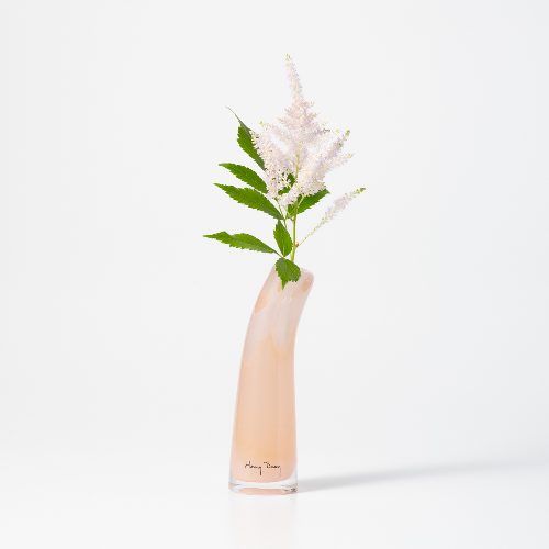 HenryDean ヘンリーディーン Grass S アクアレルピーチA