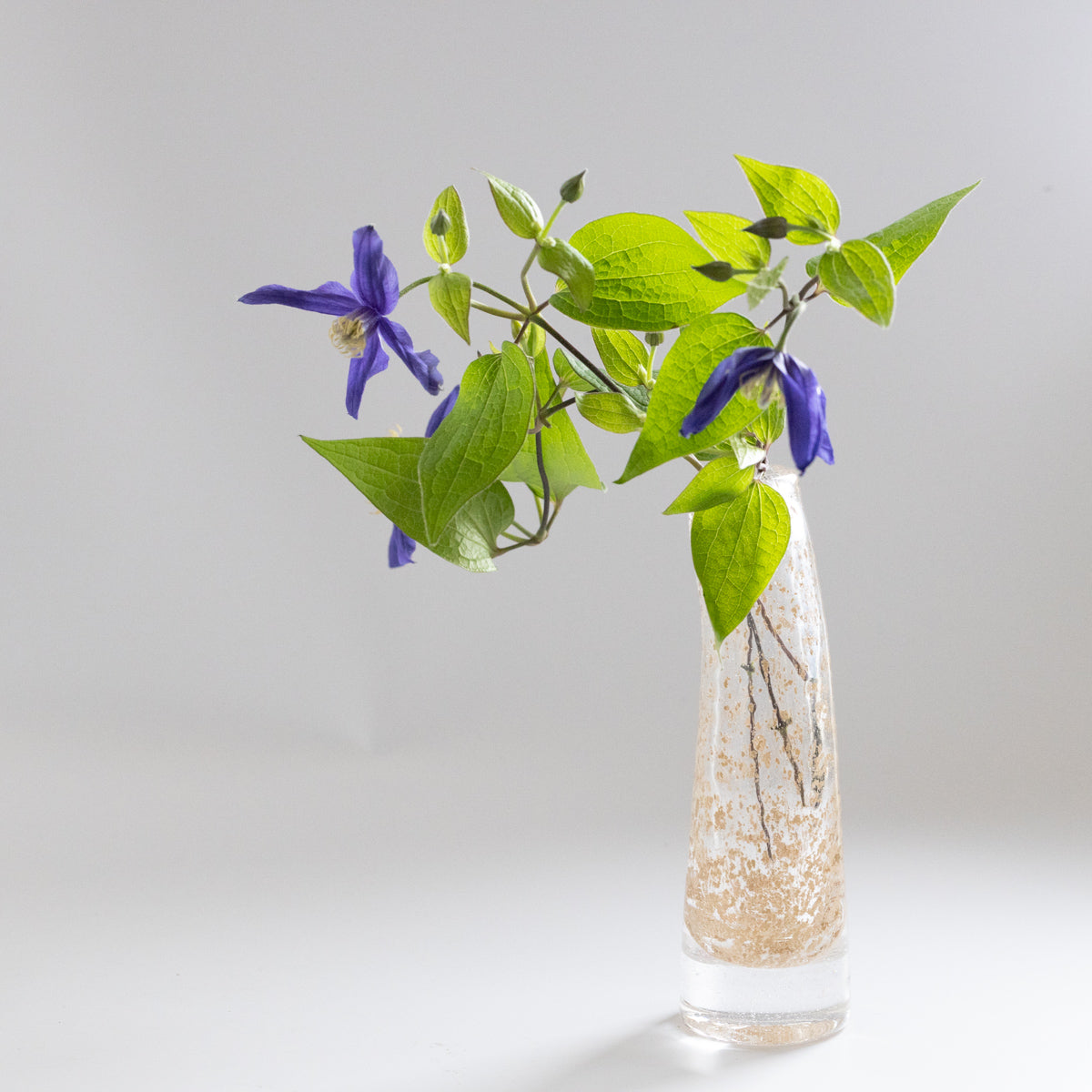 HenryDean  ヘンリーディーン　Grass Sビジュー　ガラス花瓶　花器　一輪挿し