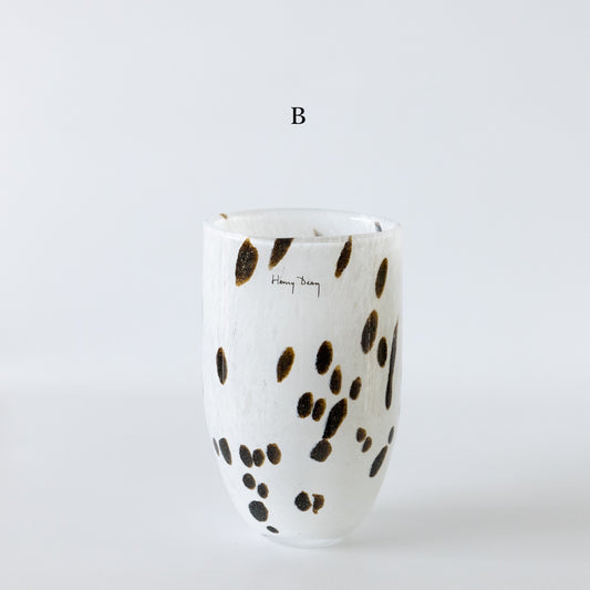 HenryDean ヘンリーディーン　ジョー  アパルーサB
