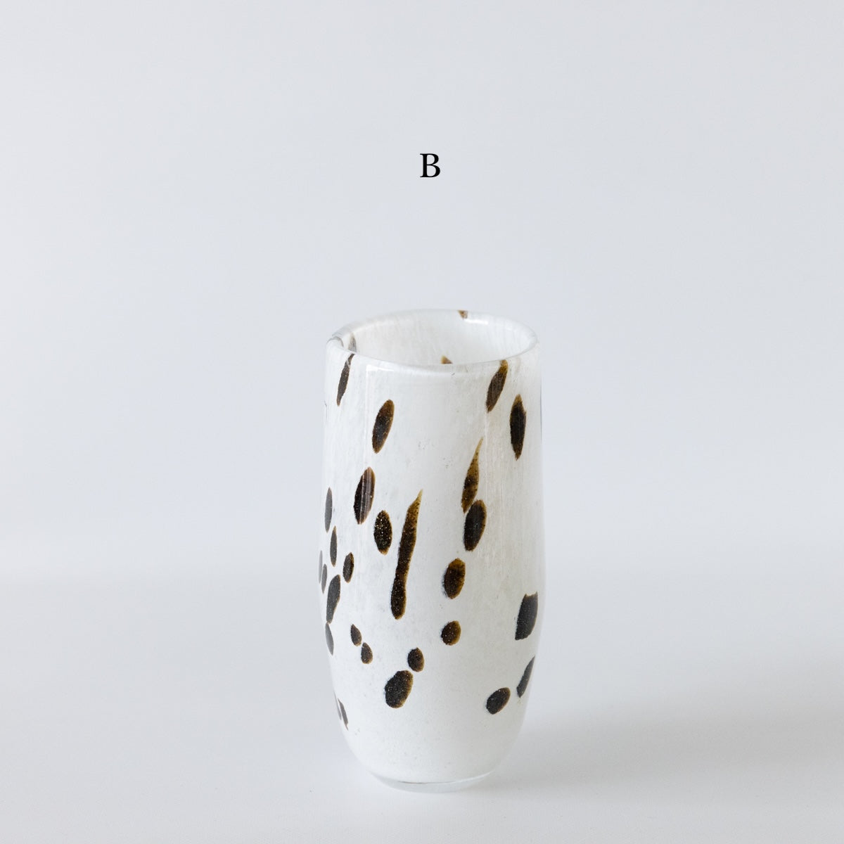 HenryDean ヘンリーディーン　ジョー  アパルーサB