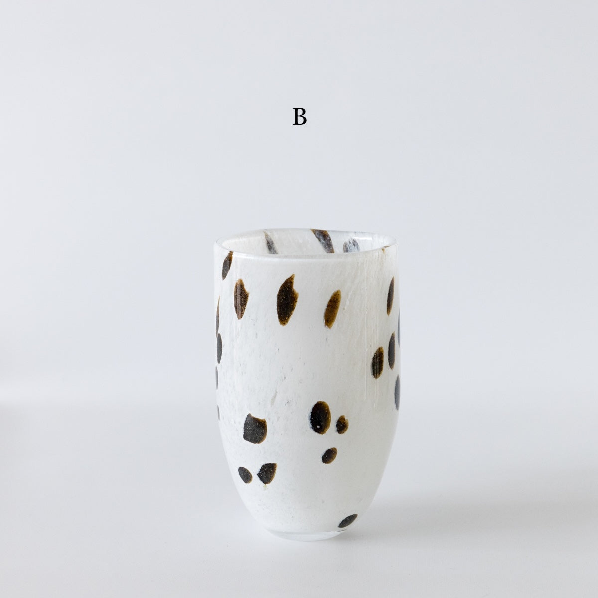 HenryDean ヘンリーディーン　ジョー  アパルーサB