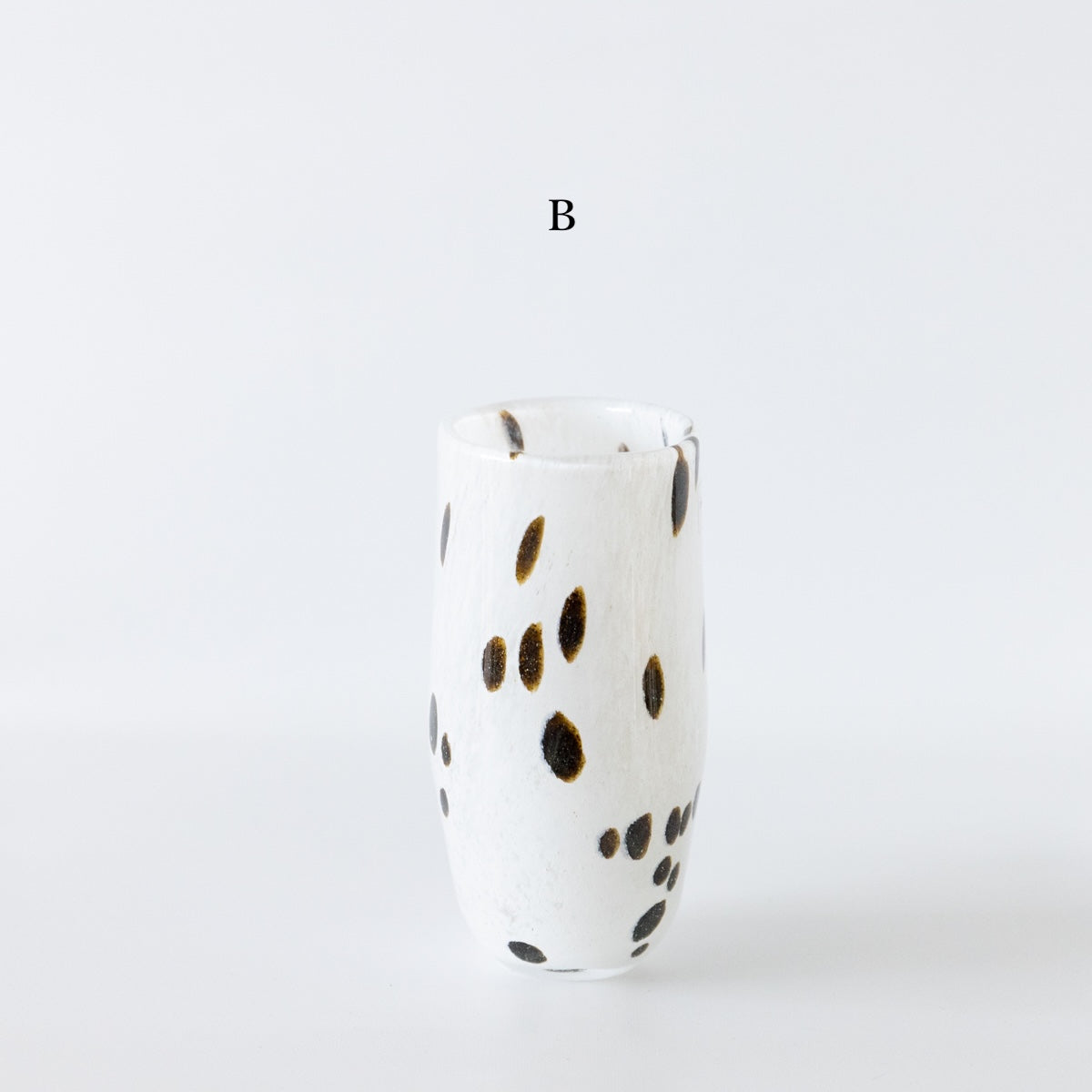 HenryDean ヘンリーディーン　ジョー  アパルーサB