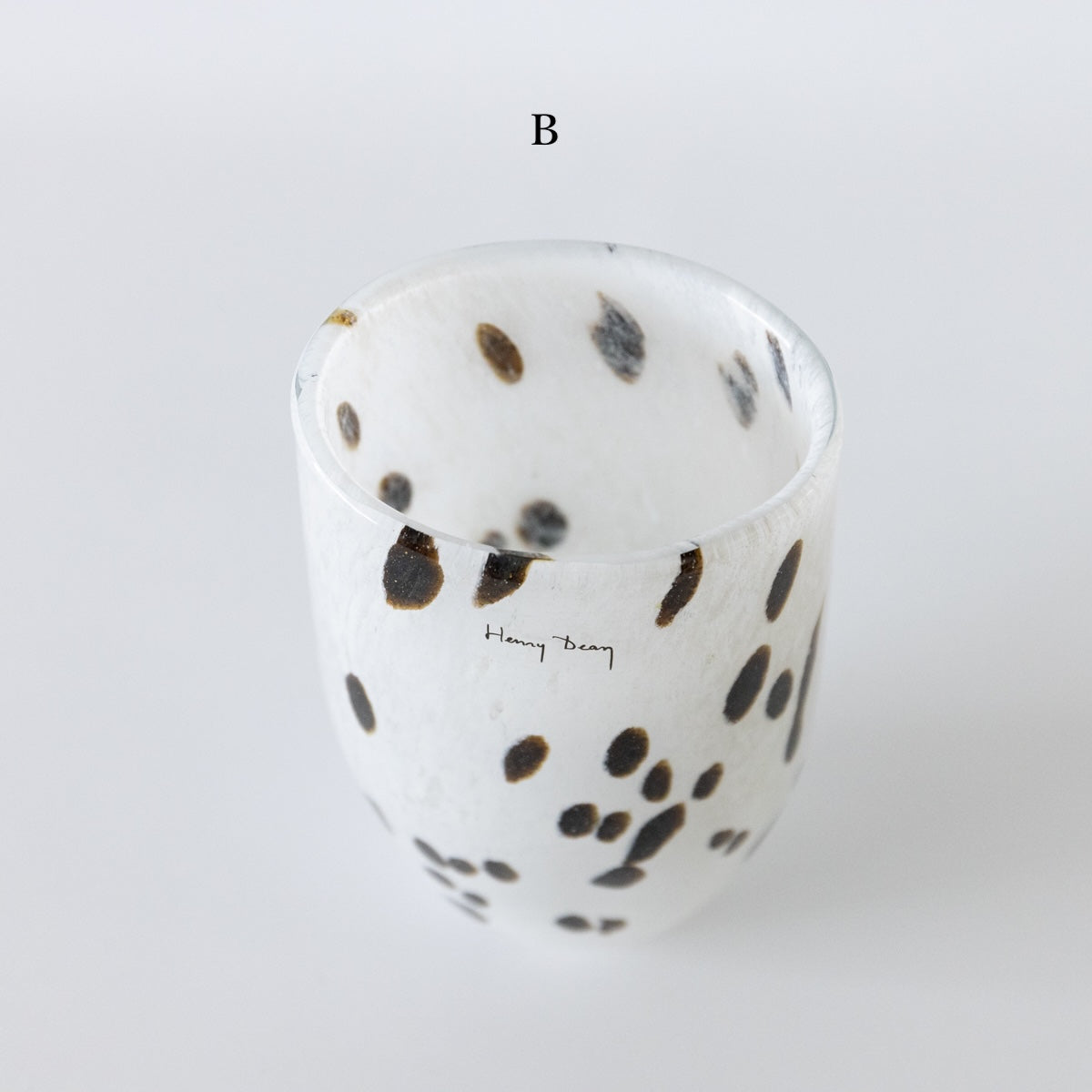 HenryDean ヘンリーディーン　ジョー  アパルーサB