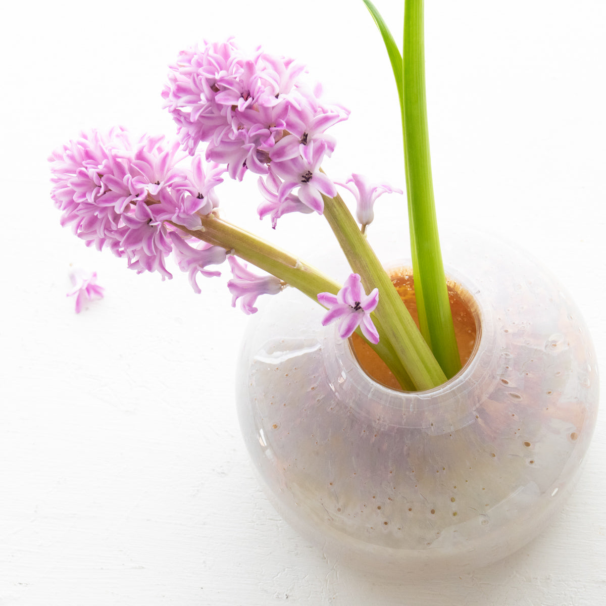 HenryDean ヘンリーディーン　V.Femeia S コルゾC