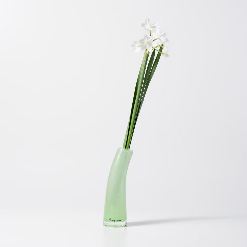 HenryDean ヘンリーディーン Grass S ミント